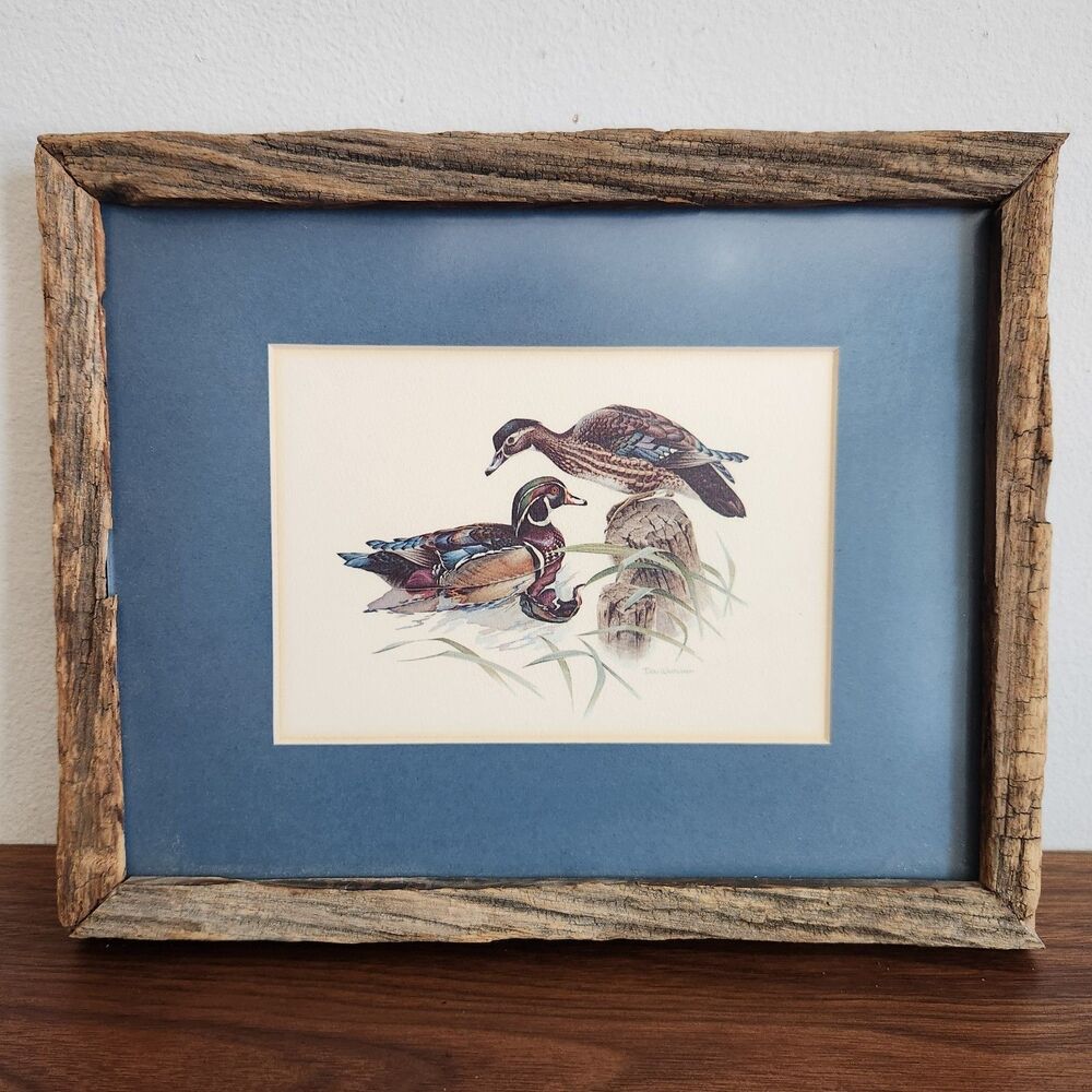 Don Whitlatch Wood Duck Aix Sponsa Print Rustic Wood Frame Waterfowl